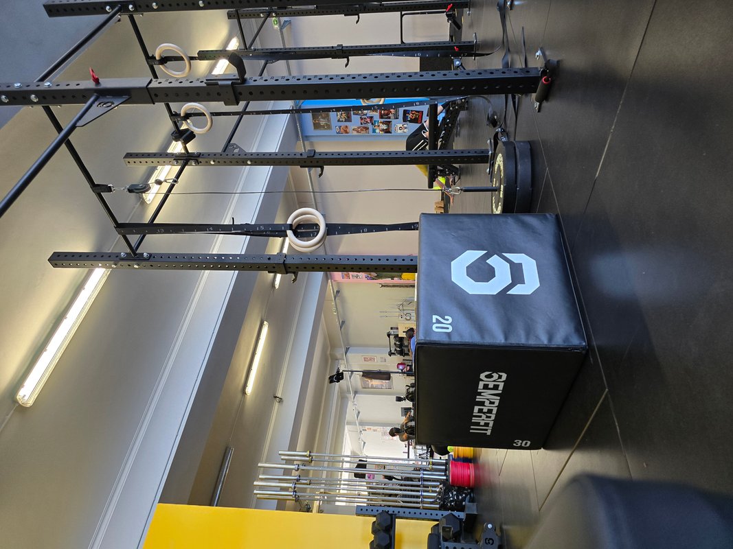ZONA DE TREINO